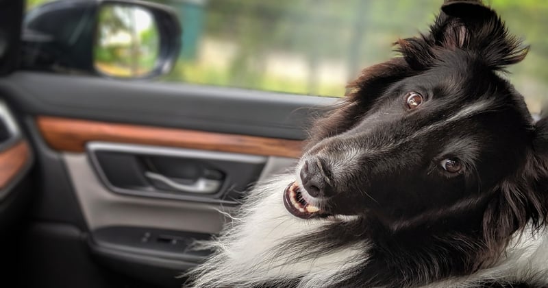 Road trip en van avec des ados : 10 conseils pour survivre (et kiffer)