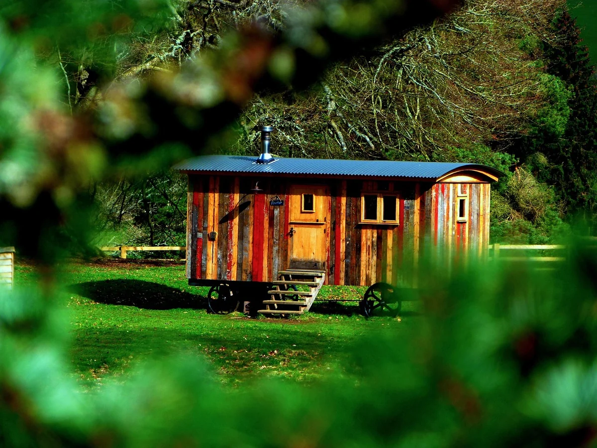 Cabane en amoureux ou cabane en famille : deux séjours, deux logiques