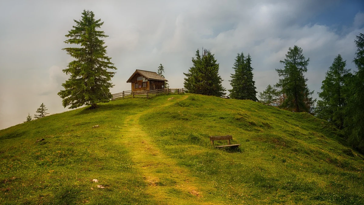 Combien coûte réellement un week-end romantique en cabane perchée ?